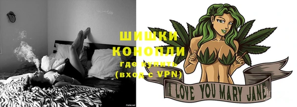 прущие грибы Белокуриха