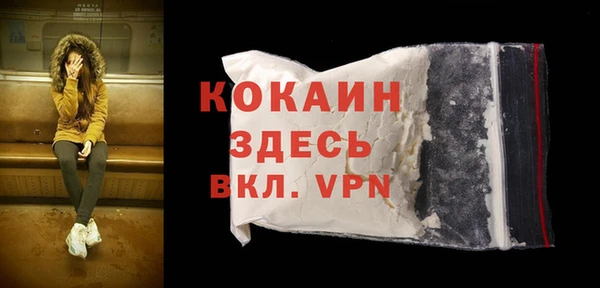 прущие грибы Белокуриха