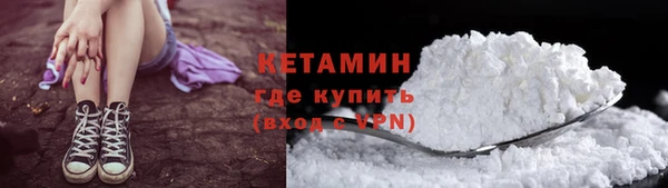 прущие грибы Белокуриха