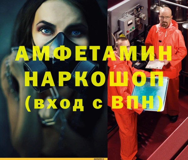 прущие грибы Белокуриха
