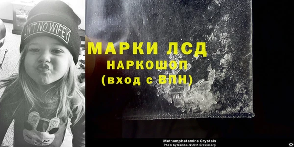 прущие грибы Белокуриха
