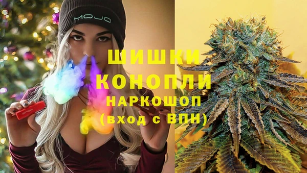 прущие грибы Белокуриха