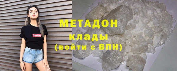 прущие грибы Белокуриха