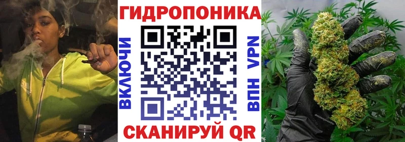 Марихуана планчик  как найти   Светогорск 